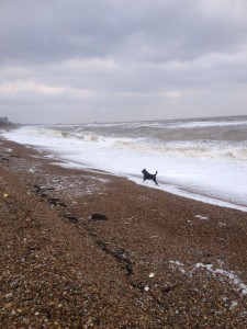 suffolk-coast