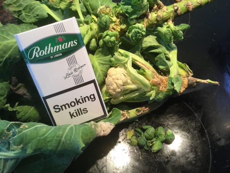 cauliflower
