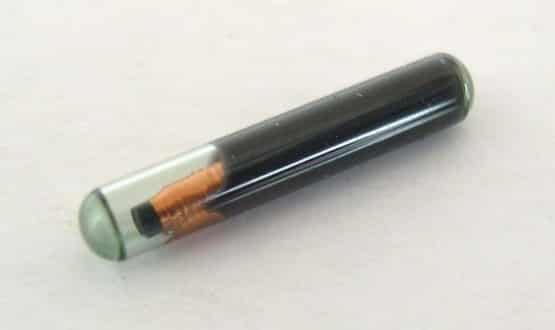 microchip