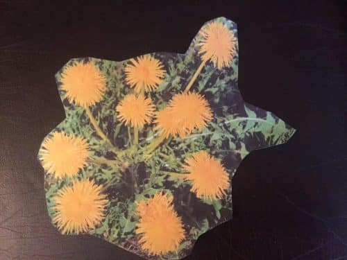 yello-green-flower