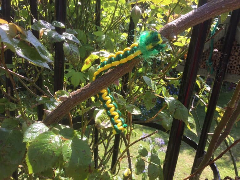 carrowpillar tree