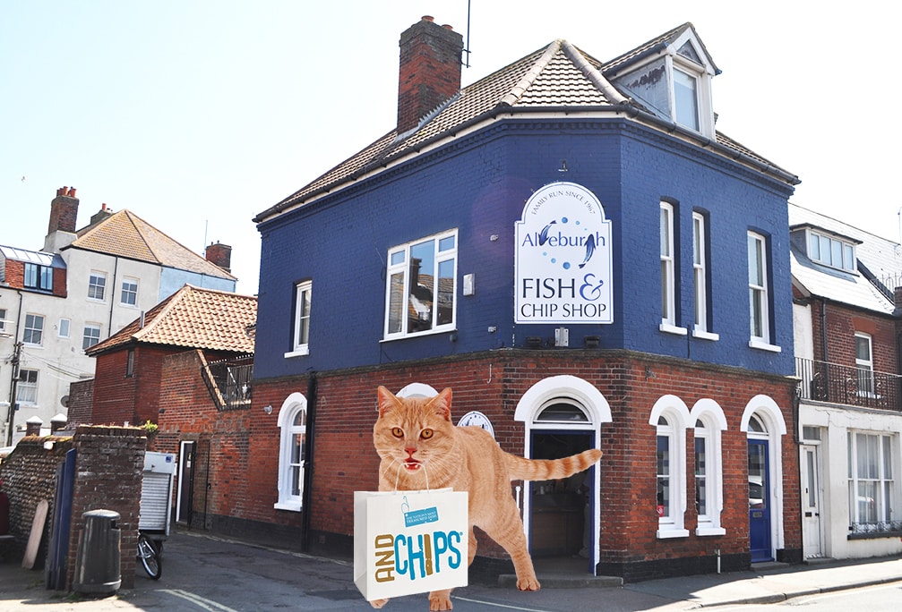 Cat gets fish and chips in Aldeburgh