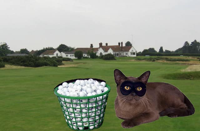 cat burglar Aldeburgh Golf Club