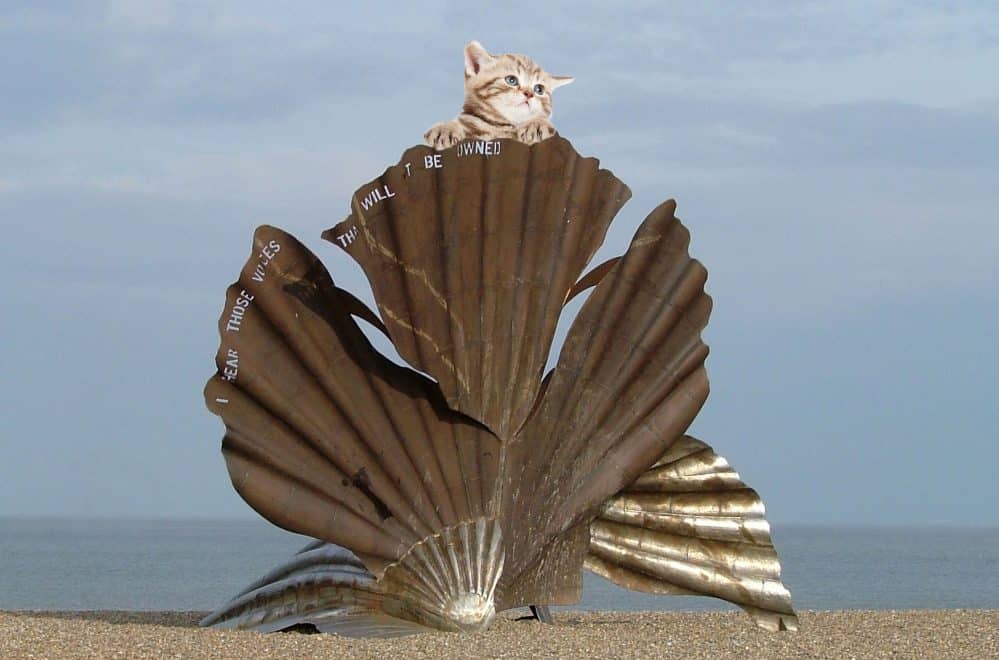 cat playing on the scallop sculpture at Aldeburgh