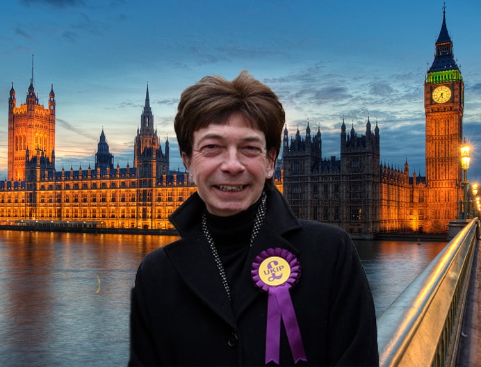 Diane James UKIP leader