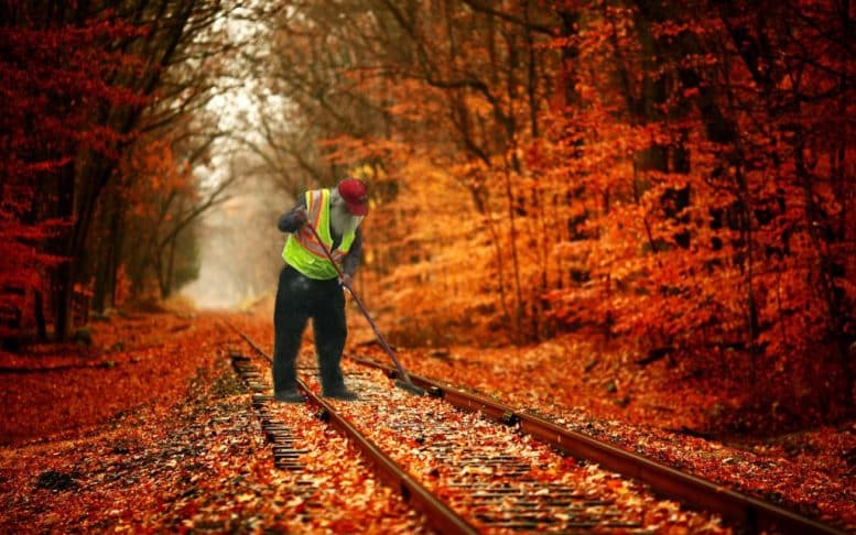 Leaves on the line