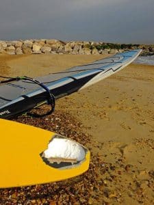 Felixstowe shark attack