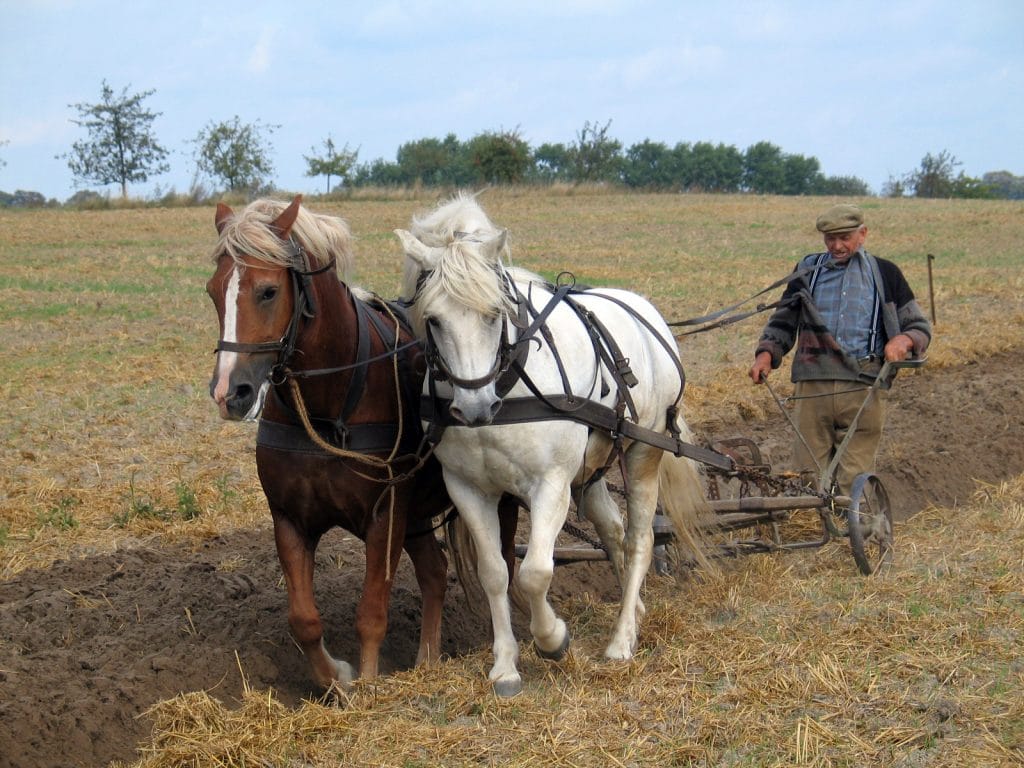 Newfangled plough tested in Norfolk