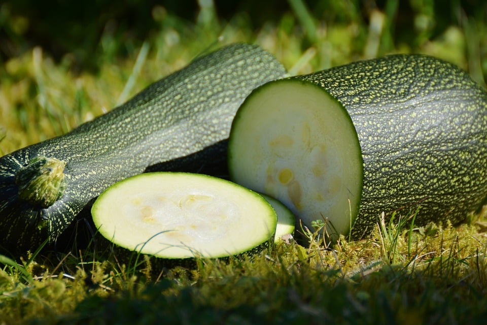 Courgette shortage