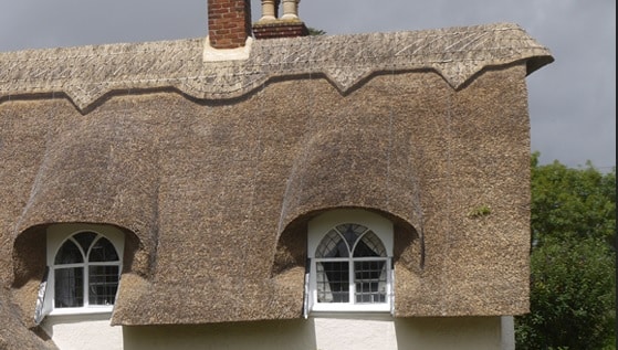 ‘Barmy’ EU outlaws Suffolk’s thatched cottages