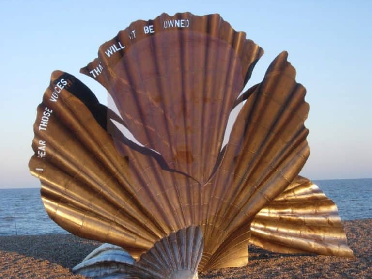 Face of Donald Trump appears on Aldeburgh scallop