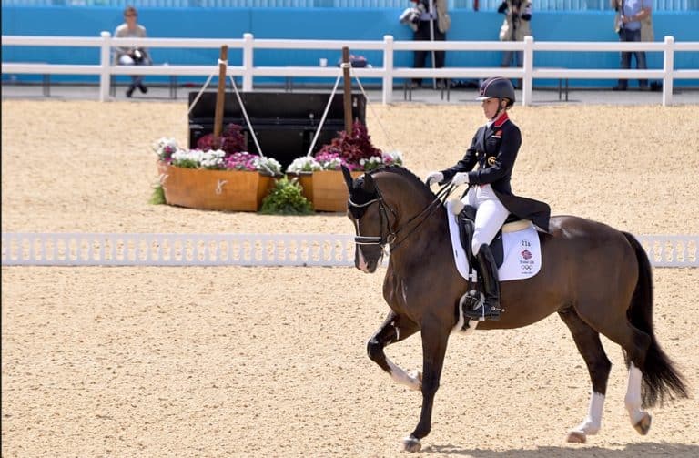 Olympic dressage horse Valegro joins Strictly