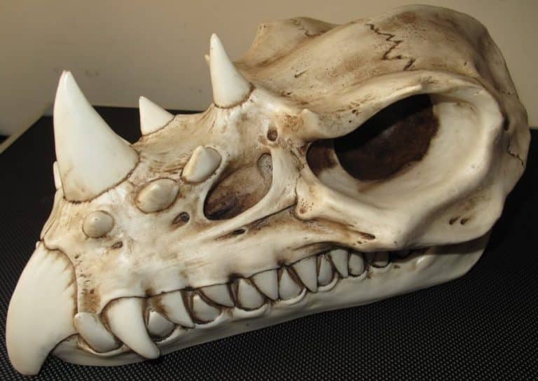 Rare dragon skull unearthed near Ipswich
