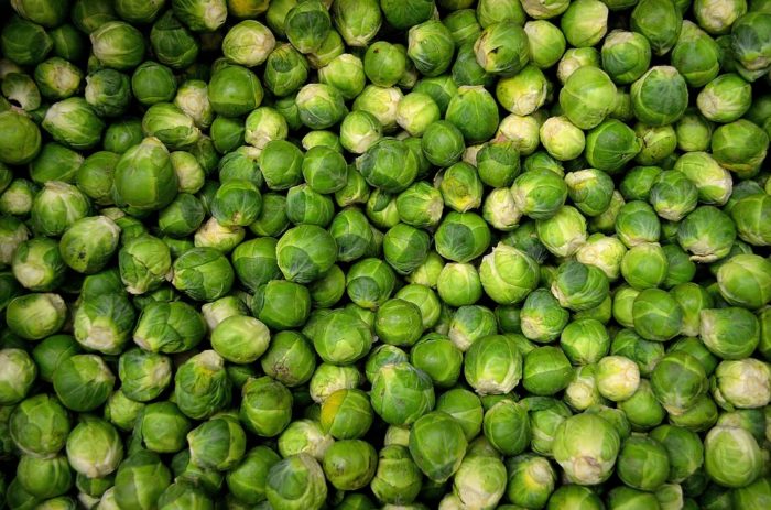 sprout shortage