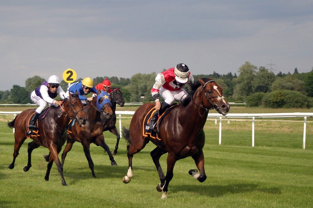 Horse racing guide to picking a winner