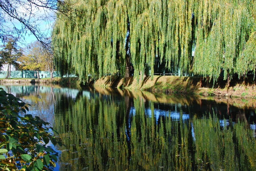 Man drowns trying to use rowing machine on the River Wensum in Norfolk