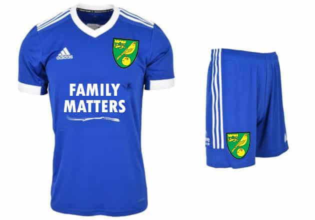 New Norwich city blue and white kit