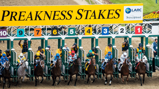 preakness stakes