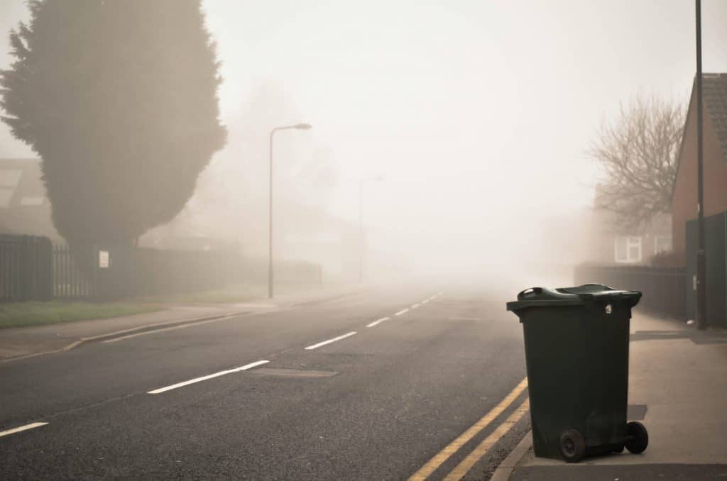 putting the bins out now the most exciting moment of the week