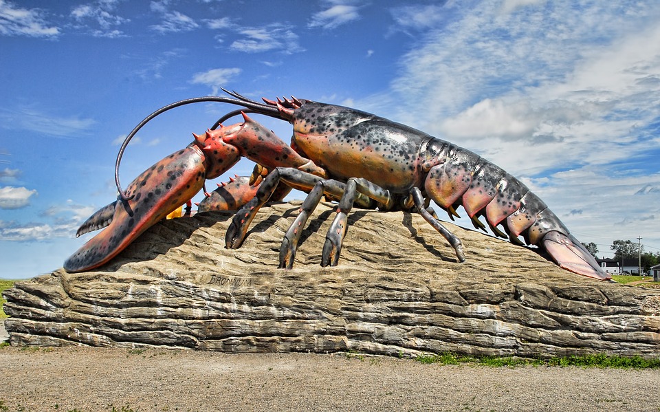 Giant lobster