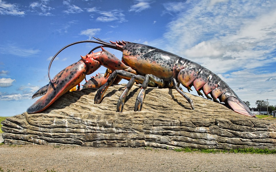 Giant Land Lobster