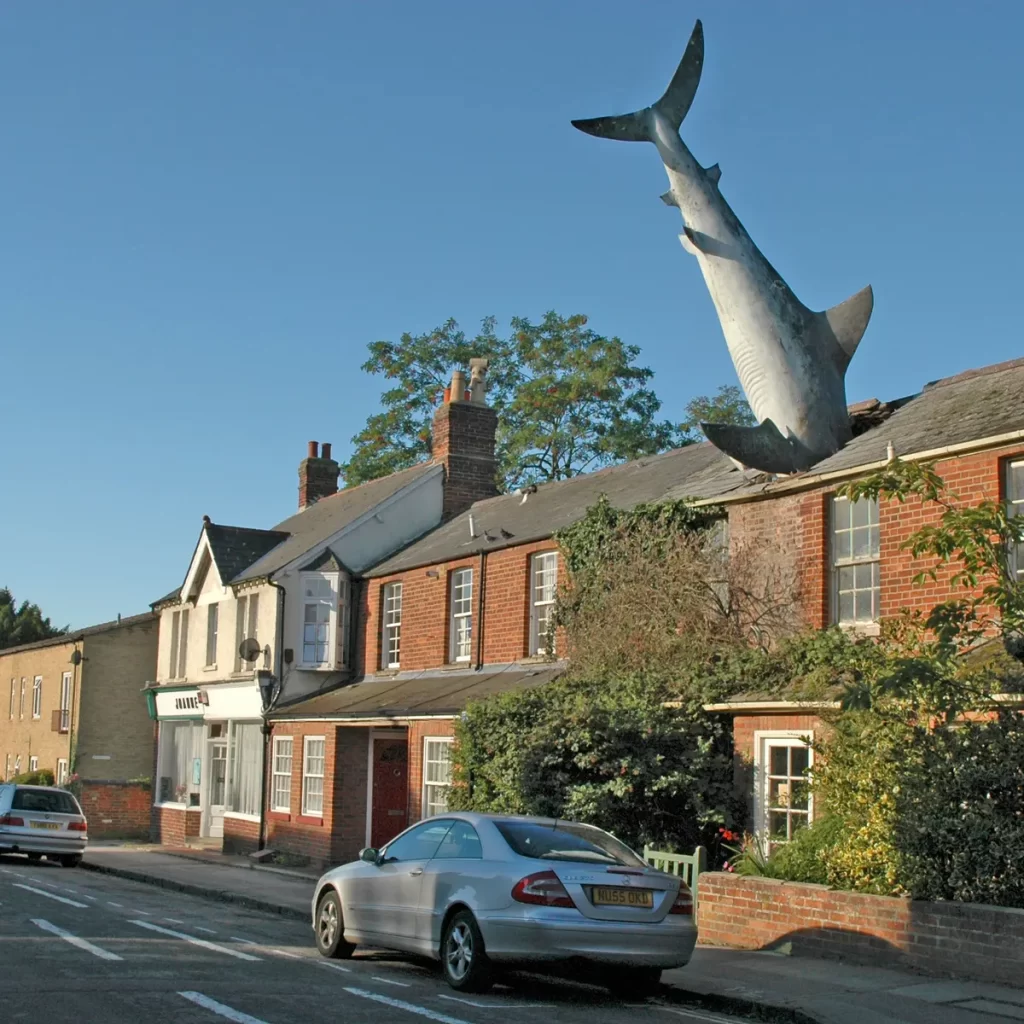 Southwold local finds great white shark on her roof