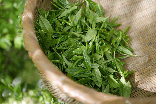 High-Quality Kratom Products