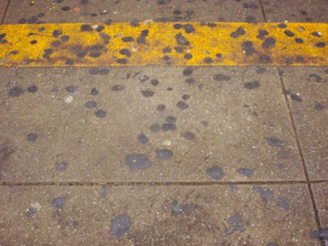 Ipswich to spend £70 grand to clean street gum stains
