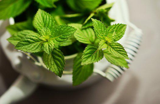 Effects Of Red Borneo Kratom