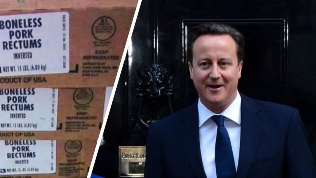 David Cameron hogs pork sector