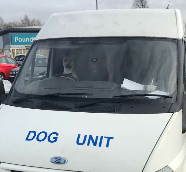 Suffolk Police initiated "Paw & Order" unit to fight crime