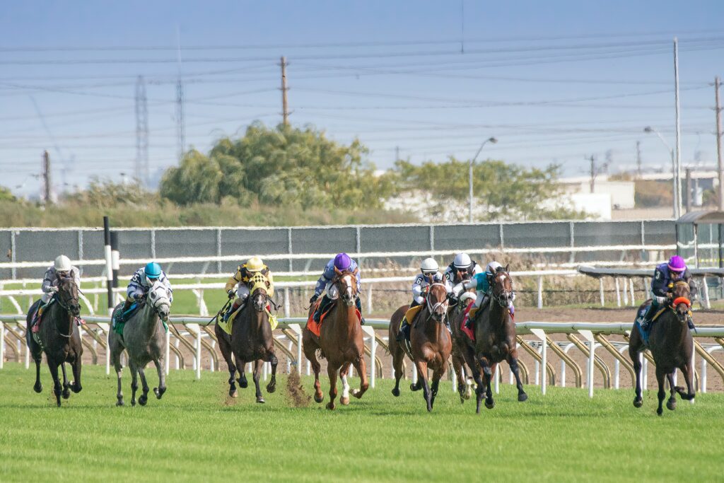 2023 Kentucky Derby Contender: Getting to Know Kingsbarns