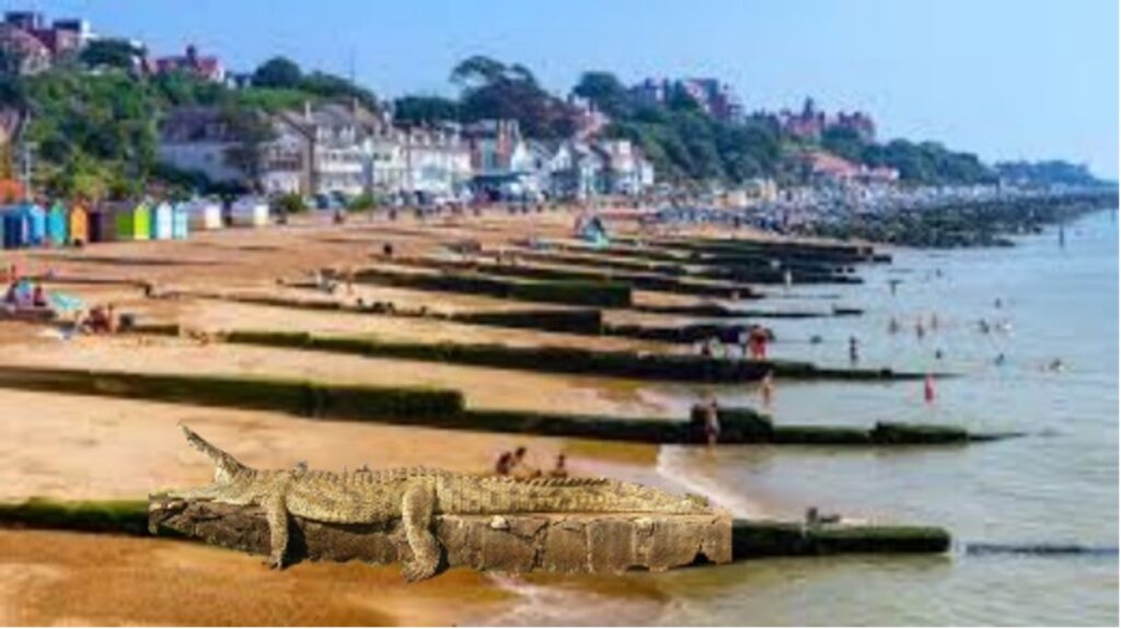 Felixstowe Alligator Story is ‘Croc of Sh*t’