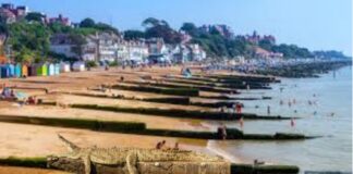 Felixstowe Alligator Story is ‘Croc of Sh*t’