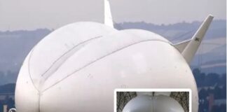 Flying arse plane breaks wind speed record