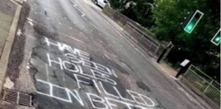 Street litter ‘good for the environment’ says County Council
