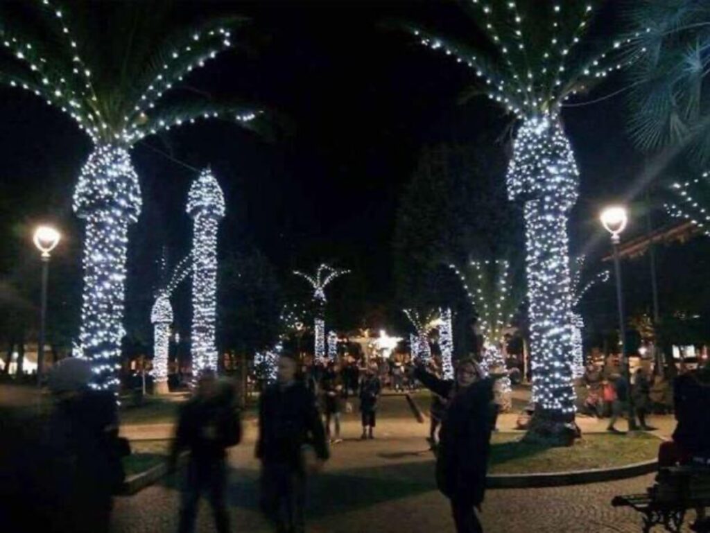 Ipswich council ERECTS city centre Xmas trees