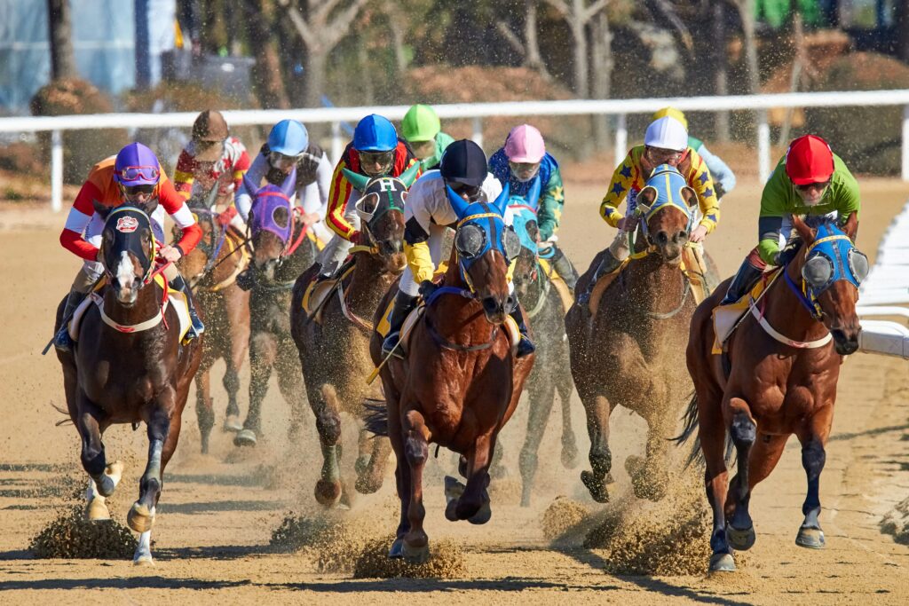 6 Must-Watch Horse Racing Events in 2024