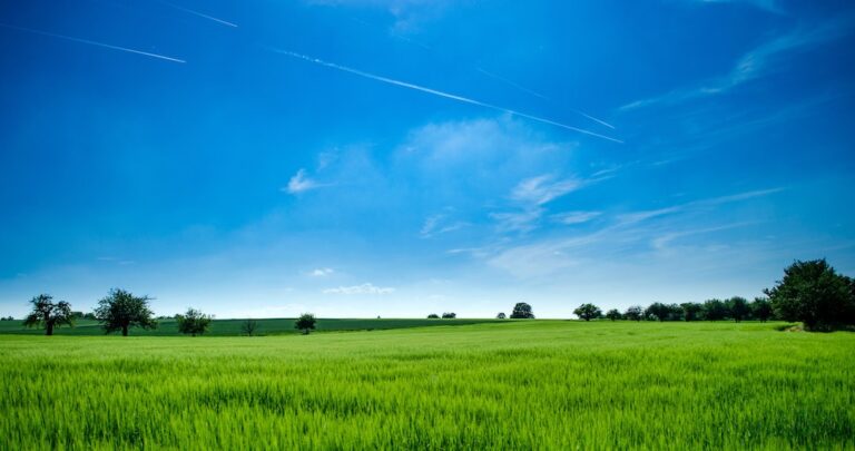 Unlock your Land’s Development Potential through Call For Sites