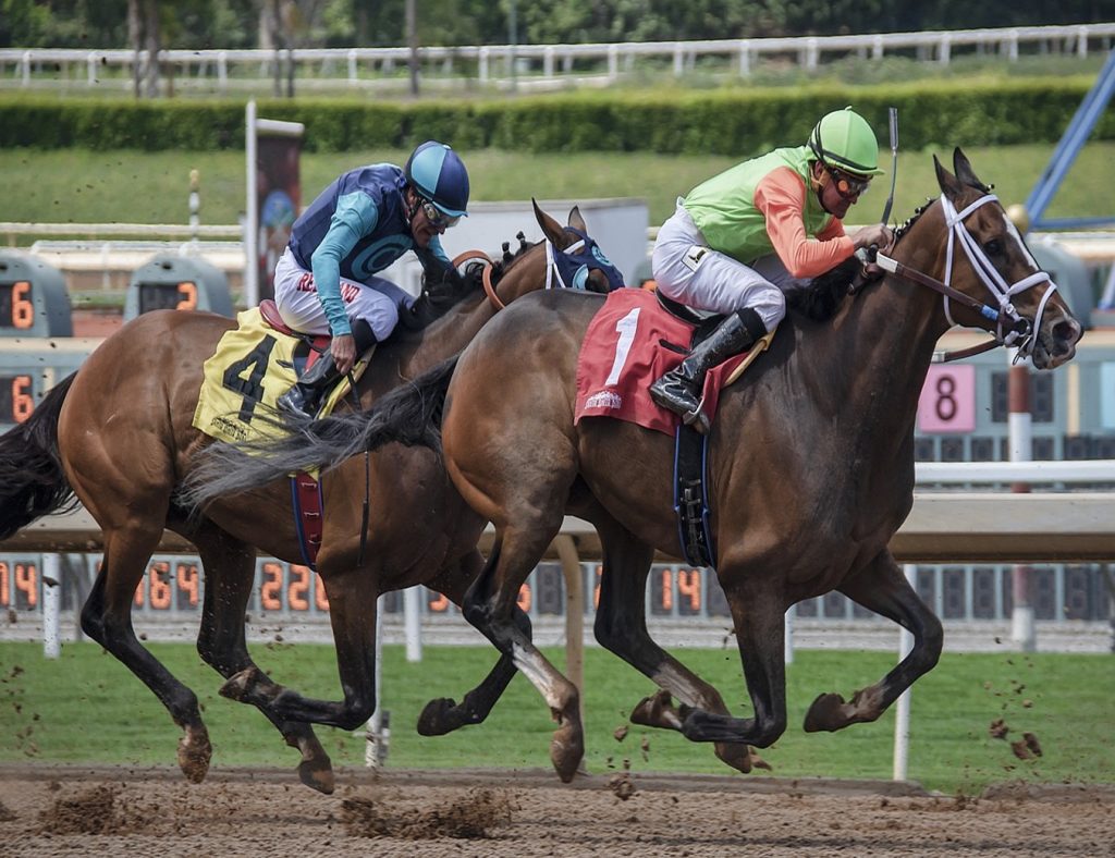 Why Place Horse Racing Bets Using Offshore Betting Sites?