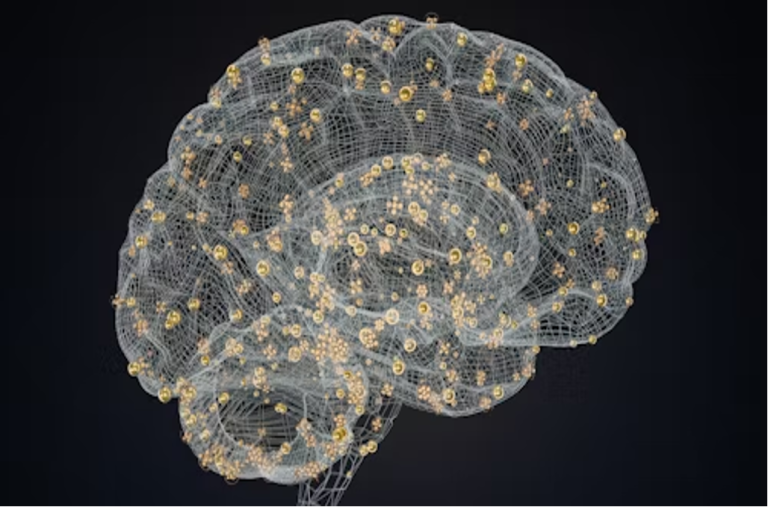 Why Trying New Experiences Boosts Your Brain Health