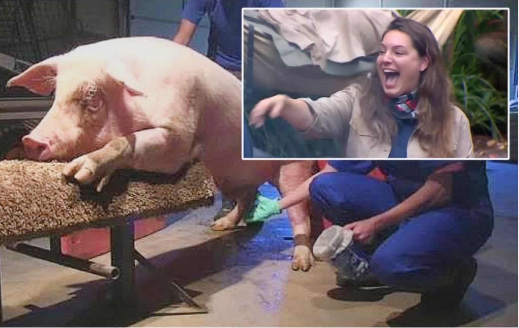 Former classmate claims jungle celebrity, Kelly Brook would ‘do anything’ to get on TV