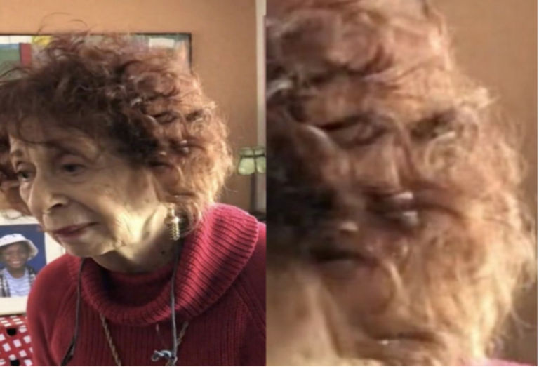 Chewbacca spotted living rent-free in Suffolk hairdo