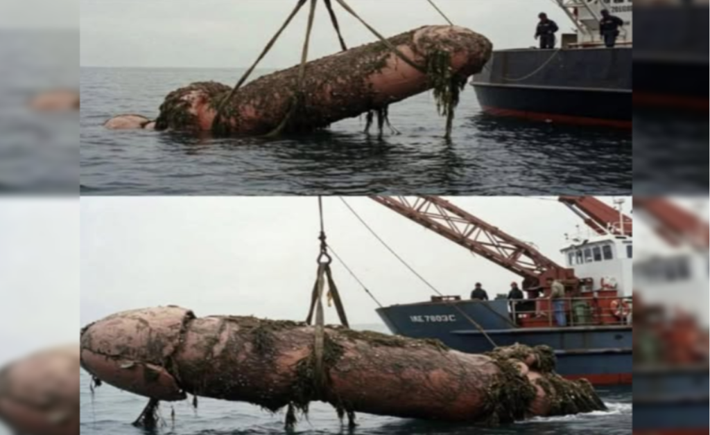 North Sea yields a 75-Foot mystery ‘Cock-wreck’