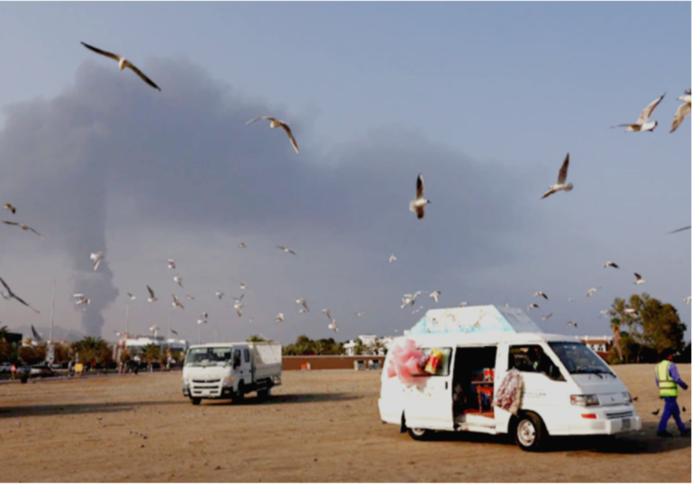 Birds Air Defense: Iran unleash attack pigeons across the Gulf