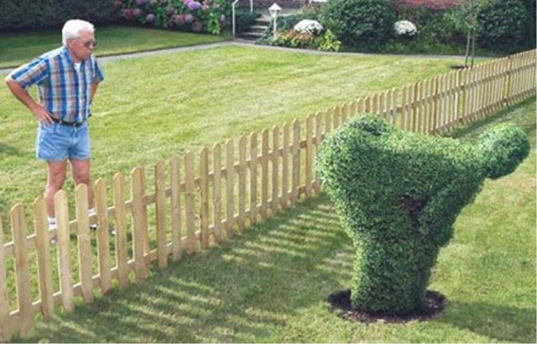 Pensioner Demands Removal Of “Offensive” Garden Buttock Sculpture