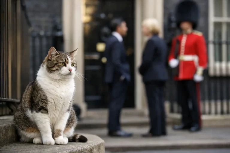 Larry the Cat and the Real Power at No 10