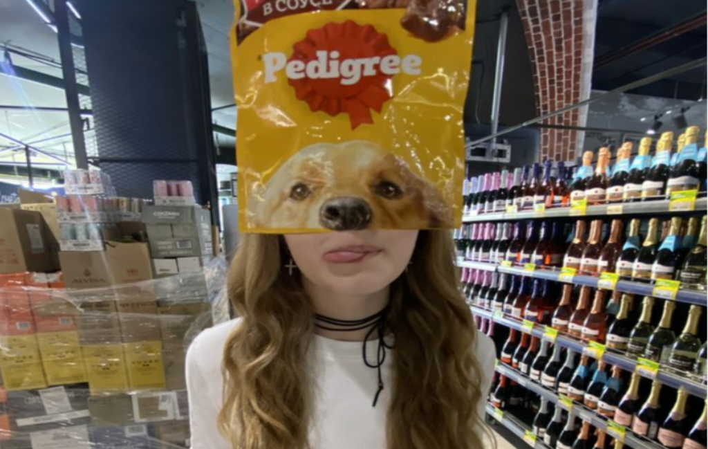 Dog Food Diet Leaves Suffolk Woman Looking Increasingly Labrador, Experts Claim